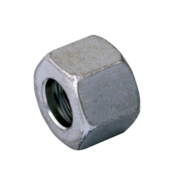 Wartel (moer)